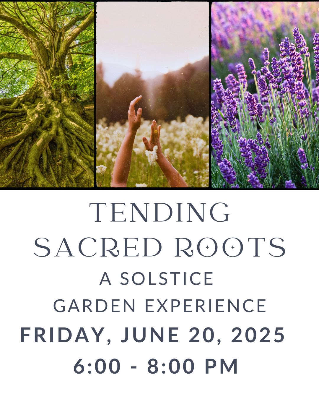 Sacred Roots Flyer (Instagram Post (45)) (1) Sacred Roots Flyer (Instagram Post (45)) (1)